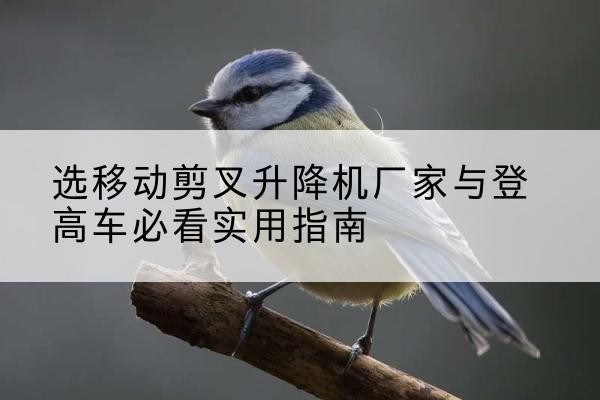 山亭电动升降机厂家-选移动剪叉升降机厂家与登高车必看实用指南