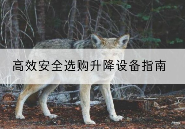 山亭升降货梯厂家推荐-*安全选购升降设备指南