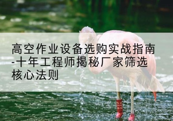 山亭剪叉式升降机厂家-高空作业设备选购实战指南-十年工程师揭秘厂家筛选核心法则